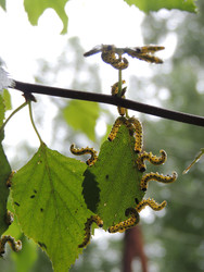 Similar image 22237316