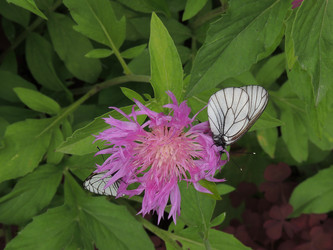 Similar image 22237318