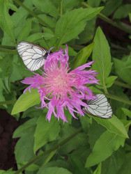 Similar image 22237319