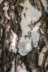 Similar image 22248367