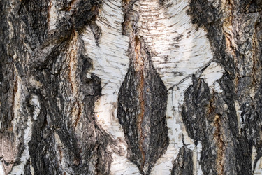 Similar image 22248368