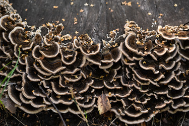 Similar image 22248369