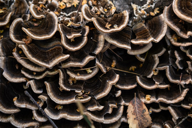 Similar image 22248370