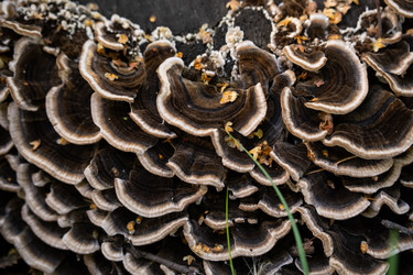 Similar image 22248371