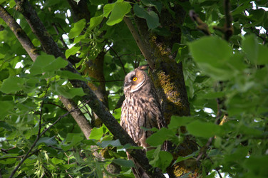 Similar image 22237320