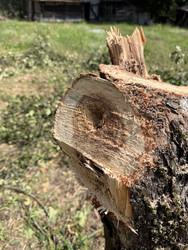 Similar image 22243978