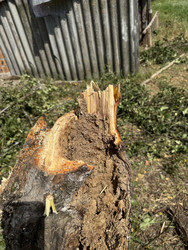 Similar image 22243979