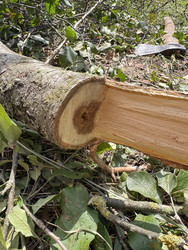 Similar image 22243980