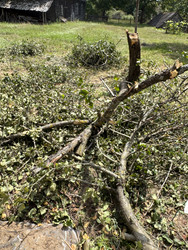 Similar image 22243981