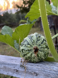 Similar image 22243982