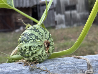 Similar image 22243983