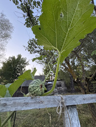 Similar image 22243984