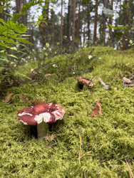 Similar image 22243986