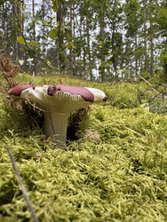 Similar image 22243987