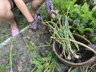 Similar image 22243993