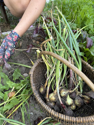 Similar image 22243995