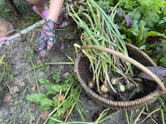 Similar image 22243996