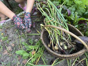 Similar image 22243997