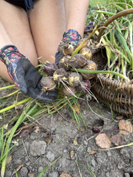 Similar image 22243999