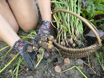 Similar image 22244000