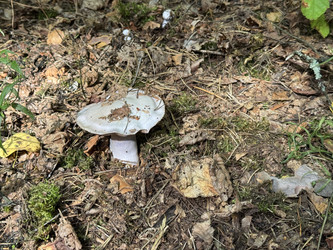 Similar image 22244003