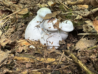 Similar image 22244004