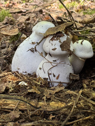 Similar image 22244005