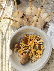 Similar image 22244008