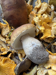 Similar image 22244009