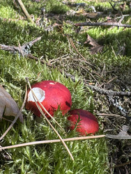 Similar image 22244010