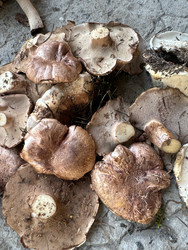 Similar image 22244011