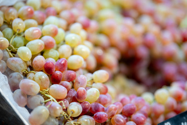 Similar image 22248107