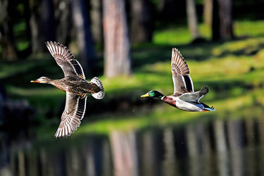 Similar image 22244855