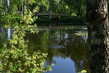 Similar image 22244951