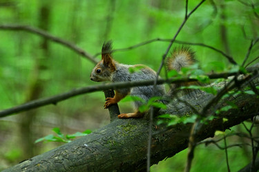 Similar image 22244954