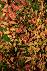 Similar image 22243790