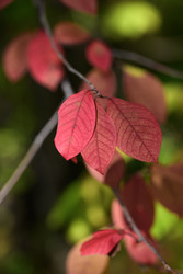 Similar image 22243791