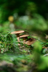 Similar image 22243792