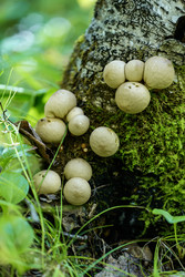 Similar image 22243793