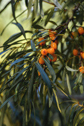 Similar image 22243794