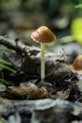 Similar image 22243796