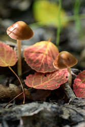 Similar image 22243797