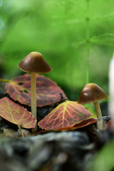 Similar image 22243798