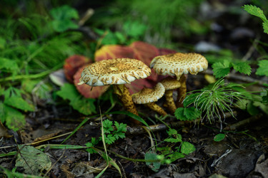 Similar image 22243800