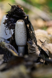 Similar image 22243801