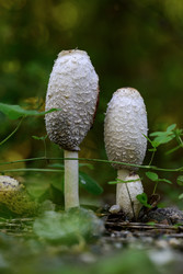 Similar image 22243802