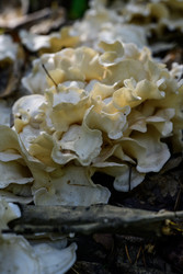 Similar image 22243804