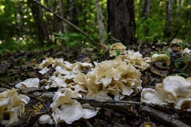 Similar image 22243895