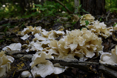 Similar image 22243805