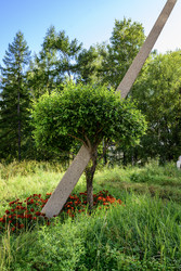 Similar image 22243807